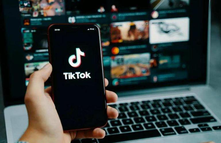 TikTok Flower Arrangement Art Videos Enhance Aesthetic Appreciation 