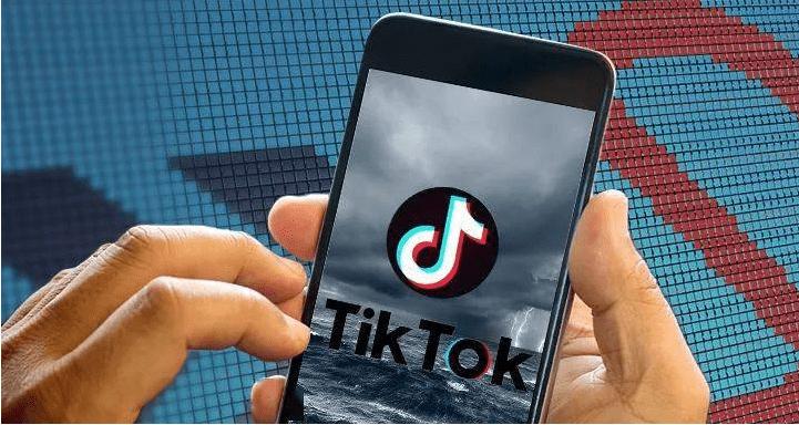 TikTok Handicraft Making Videos Pass on Traditional Culture 