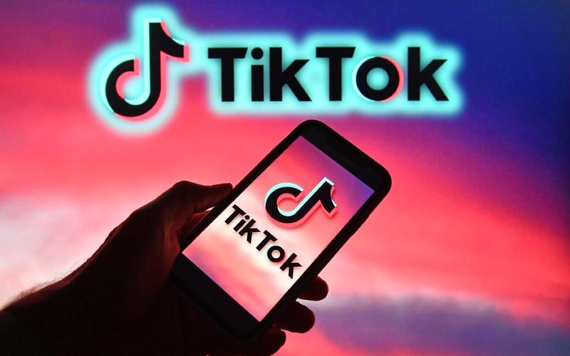 TikTok Flower Arrangement Art Videos Enhance Aesthetic Appreciation 