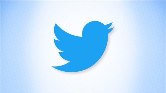 Twitter’s Role in Wildlife Conservation 