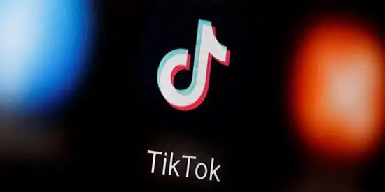 TikTok And The Craft Of Intarsia 